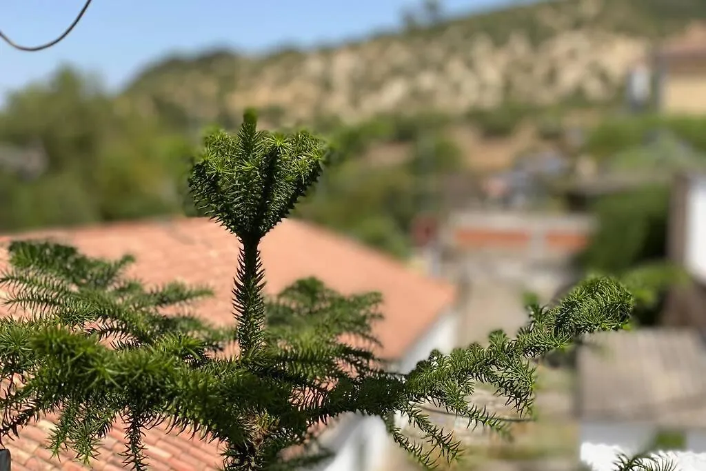La Casona Del Molino En El Bosque Villa Vakantiehuis